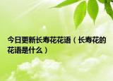 今日更新长寿花花语（长寿花的花语是什么）