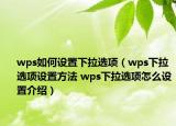 wps如何设置下拉选项（wps下拉选项设置方法 wps下拉选项怎么设置介绍）