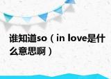 谁知道so（in love是什么意思啊）