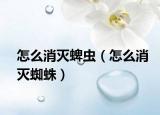 怎么消灭蜱虫（怎么消灭蜘蛛）