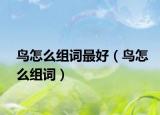 鸟怎么组词最好（鸟怎么组词）