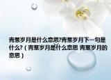 青葱岁月是什么意思?青葱岁月下一句是什么?（青葱岁月是什么意思 青葱岁月的意思）