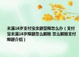 未满16岁支付宝余额受限怎么办（支付宝未满16岁限额怎么解除 怎么解除支付限额介绍）
