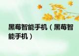 黑莓智能手机（黑莓智能手机）