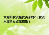 木犀科女贞是女贞子吗?（女贞 木犀科女贞属植物）
