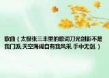 歌曲（太极张三丰里的歌词刀光剑影不是我门派,天空海阔自有我风采,手中无剑,）