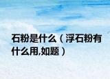 石粉是什么（浮石粉有什么用,如题）