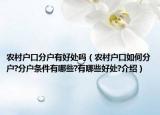 农村户口分户有好处吗（农村户口如何分户?分户条件有哪些?有哪些好处?介绍）