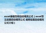 excel表格怎样自动填充公式（excel怎么设置自动填充公式 如何设置自动填充公式介绍）