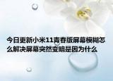 今日更新小米11青春版屏幕模糊怎么解决屏幕突然变暗是因为什么