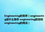 Engineering的意思（engineering是什么意思 engineering的音标 engineering的用法）