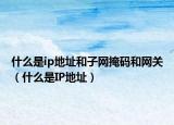 什么是ip地址和子网掩码和网关（什么是IP地址）