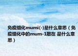 免疫组化mumi(-)是什么意思（免疫组化中的mum-1散在 是什么意思）