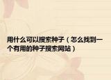 用什么可以搜索种子（怎么找到一个有用的种子搜索网站）