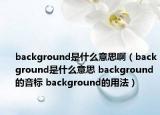 background是什么意思啊（background是什么意思 background的音标 background的用法）