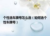 个性选车牌号怎么选（如何选个性车牌号）