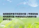 如何使用苹果手机钱包付款（苹果钱包如何向商家付款 苹果钱包怎么向商家付款教学介绍）