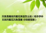 沉鱼落雁闭月羞花英语怎么说（老外学中文闭月羞花沉鱼落雁 分别是指谁）