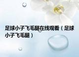 足球小子飞毛腿在线观看（足球小子飞毛腿）
