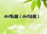 dnf私服（dnf法驱）