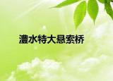澧水特大悬索桥