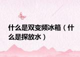什么是双变频冰箱（什么是探放水）