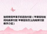 如何使用苹果手机钱包付款（苹果钱包如何向商家付款 苹果钱包怎么向商家付款教学介绍）