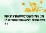 英尺和米的换算方式是怎样的（英尺,英寸和米到底该怎么换算呢例如5）