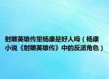 射雕英雄传里杨康是好人吗（杨康 小说《射雕英雄传》中的反派角色）