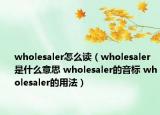 wholesaler怎么读（wholesaler是什么意思 wholesaler的音标 wholesaler的用法）