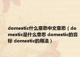 domestic什么意思中文意思（domestic是什么意思 domestic的音标 domestic的用法）