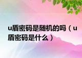 u盾密码是随机的吗（u盾密码是什么）