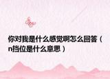 你对我是什么感觉啊怎么回答（n挡位是什么意思）