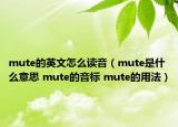 mute的英文怎么读音（mute是什么意思 mute的音标 mute的用法）