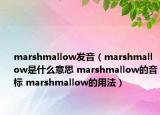 marshmallow发音（marshmallow是什么意思 marshmallow的音标 marshmallow的用法）