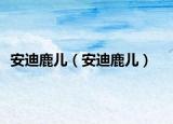 安迪鹿儿（安迪鹿儿）