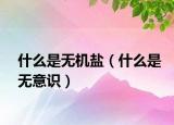 什么是无机盐（什么是无意识）
