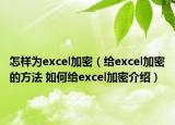 怎样为excel加密（给excel加密的方法 如何给excel加密介绍）