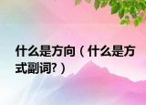 什么是方向（什么是方式副词?）