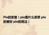 Pie的发音（pie是什么意思 pie的音标 pie的用法）