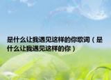 是什么让我遇见这样的你歌词（是什么让我遇见这样的你）