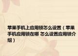 苹果手机上应用锁怎么设置（苹果手机应用锁在哪 怎么设置应用锁介绍）