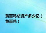 黄百鸣总资产多少亿（黄百鸣）