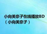 小向美奈子在线播放BD（小向美奈子）