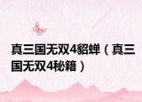 真三国无双4貂蝉（真三国无双4秘籍）