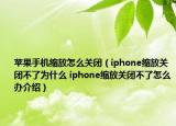 苹果手机缩放怎么关闭（iphone缩放关闭不了为什么 iphone缩放关闭不了怎么办介绍）
