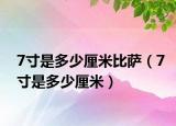 7寸是多少厘米比萨（7寸是多少厘米）
