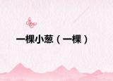 一棵小葱（一棵）