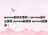 sorrow的中文意思（sorrow是什么意思 sorrow的音标 sorrow的用法）