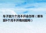 车子放六个月不开会怎样（新车放6个月不开有问题吗）